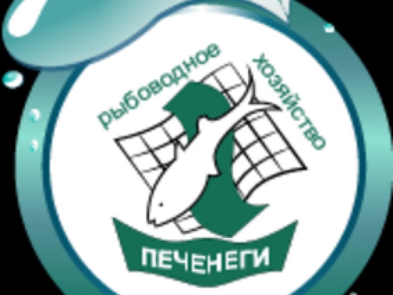 Галерея 4